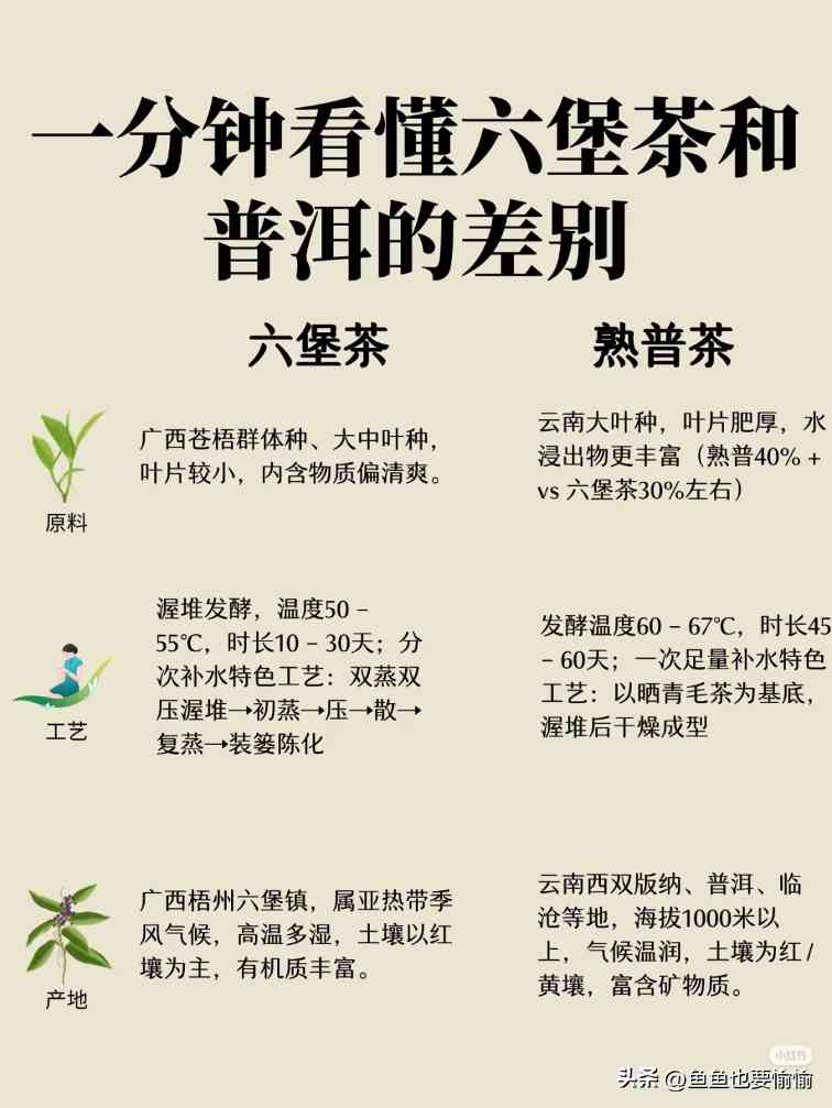 六堡茶与普洱茶的陈化潜力及工艺差异解析 六堡茶与普洱茶的陈化潜力及工艺差异解析