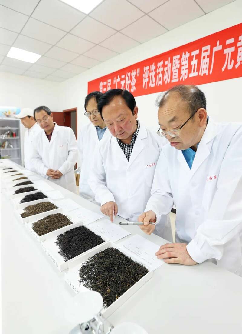 广元好茶评选揭晓新茶质量与茶产业新高 斗出一片江湖!46款广元“金奖茶”新鲜出炉
