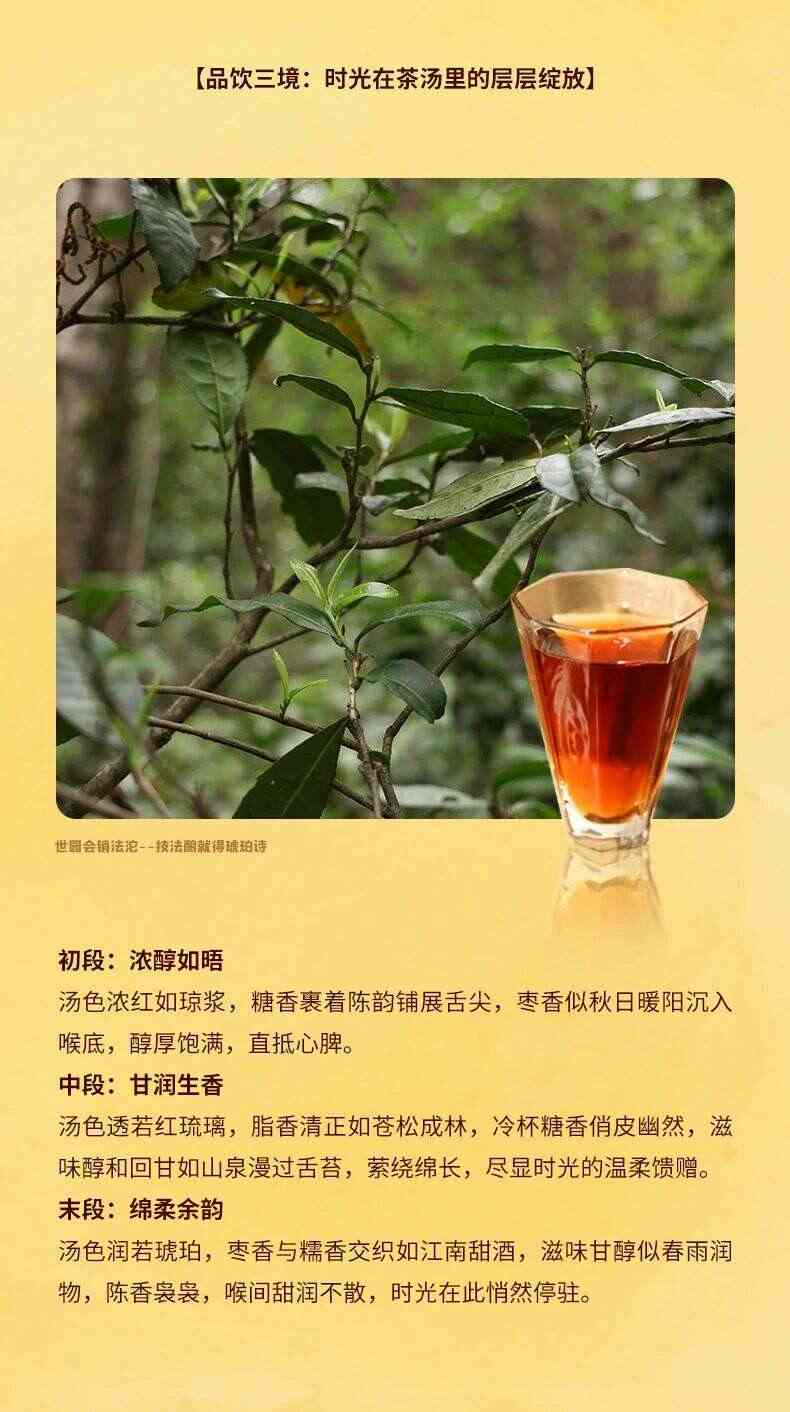 普洱茶亮相世园会 非遗技艺传递生态文化 松脂香:北京Expo2019典藏销法沱