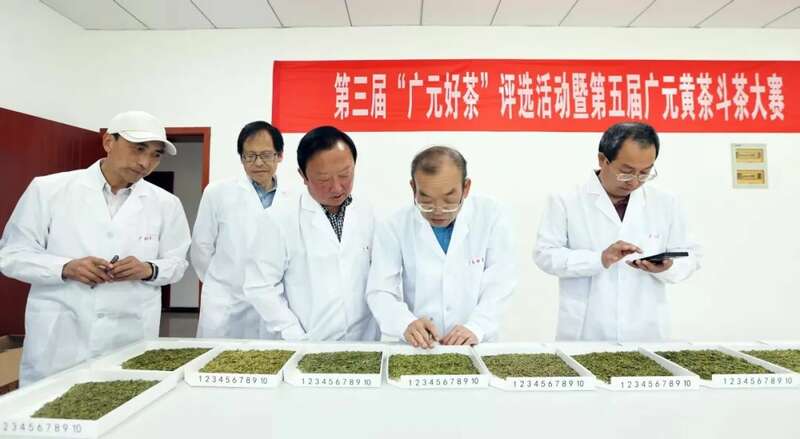 广元好茶评选揭晓新茶质量与茶产业新高 斗出一片江湖!46款广元“金奖茶”新鲜出炉