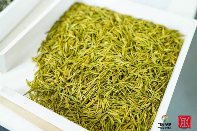 破局茶行业同质化难题需权威评比与品牌新思路 领航品质新高度!“中茶杯”第十五届国际鼎承茶王赛春季赛报名进行中