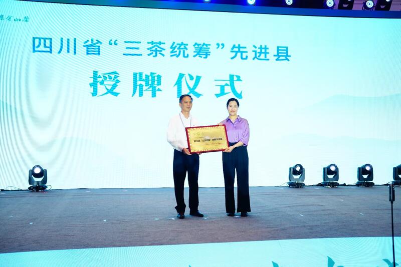 旺苍黄茶产业新机遇 共建国际平台促发展 千亿茶单启航!广元旺苍茶叶再吸金,交易双IP联动,聚势共赢