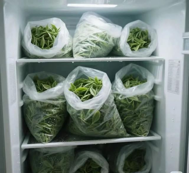 普洱茶越存越淡？仓储不当竟是主因