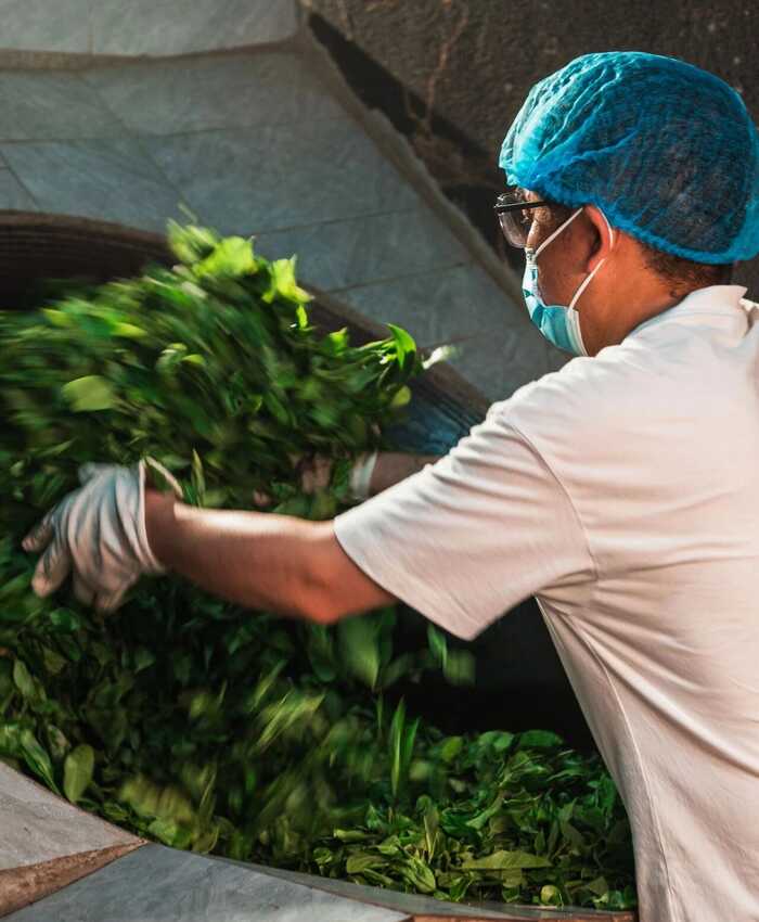 ”涩”，真的是茶的一种“味道”吗？
