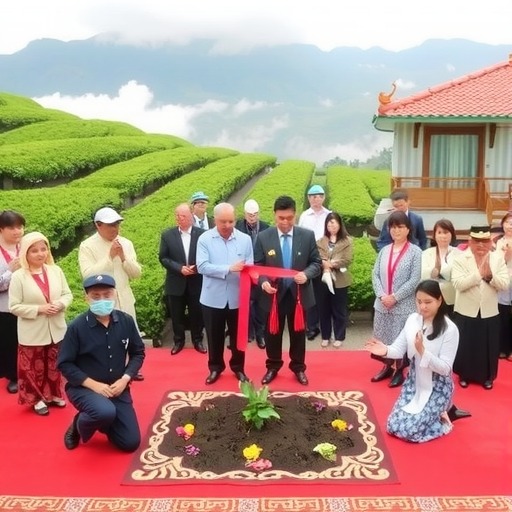景谷大叶白茶产业大会开幕 擘画茯茶融合发展新篇章