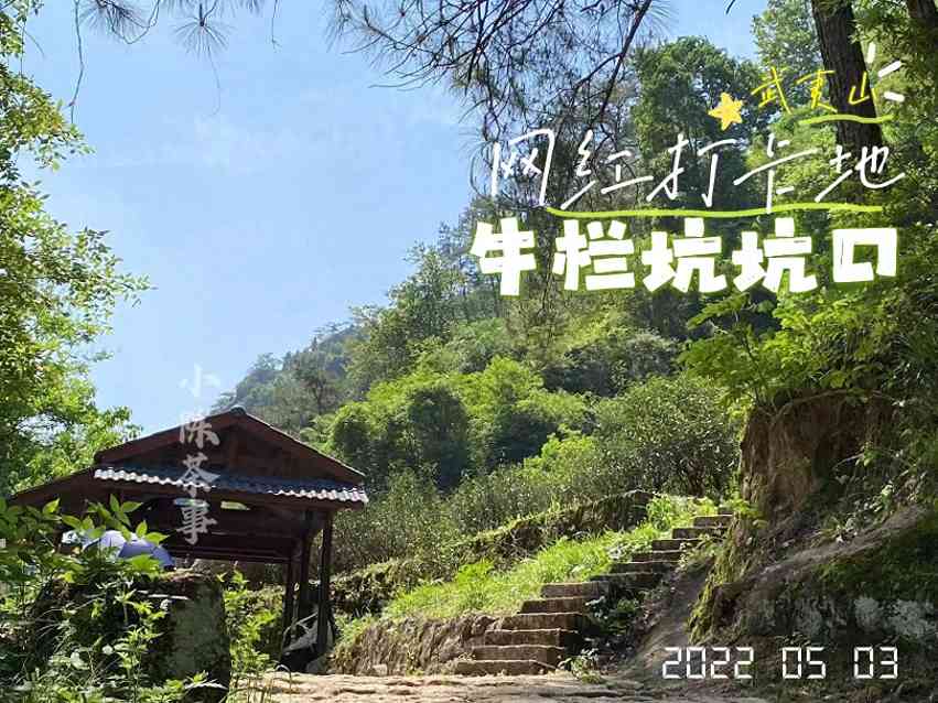 拼配岩茶别轻信,纯料牛栏坑肉桂价值为何独特? 拼配岩茶别轻信,纯料牛栏坑肉桂价值为何独特?