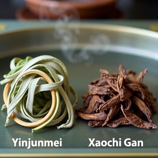 银骏眉与小赤甘区别解析