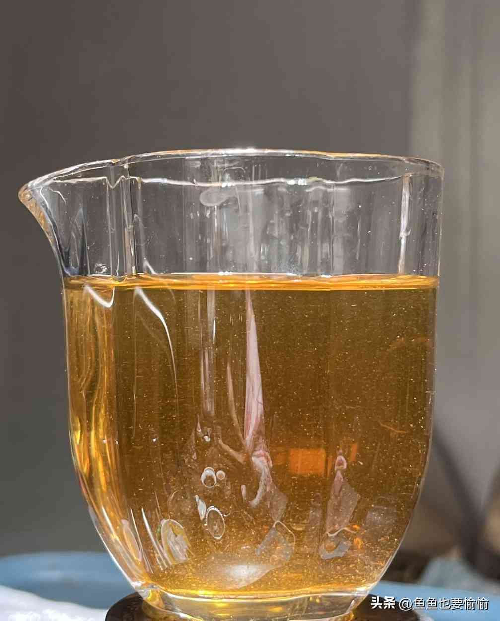 解析普洱茶品饮术语，从“说黑话”到“懂茶”的进阶指南