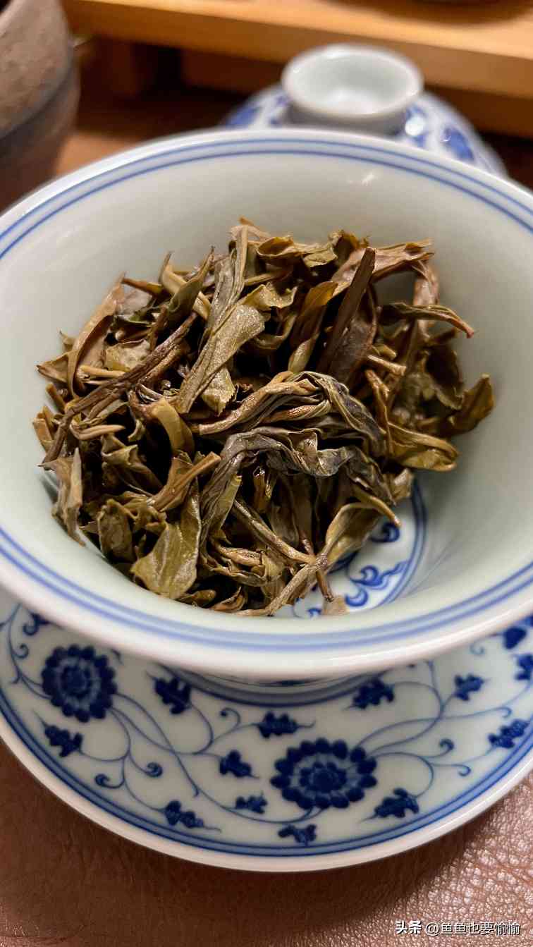 解析普洱茶品饮术语，从“说黑话”到“懂茶”的进阶指南