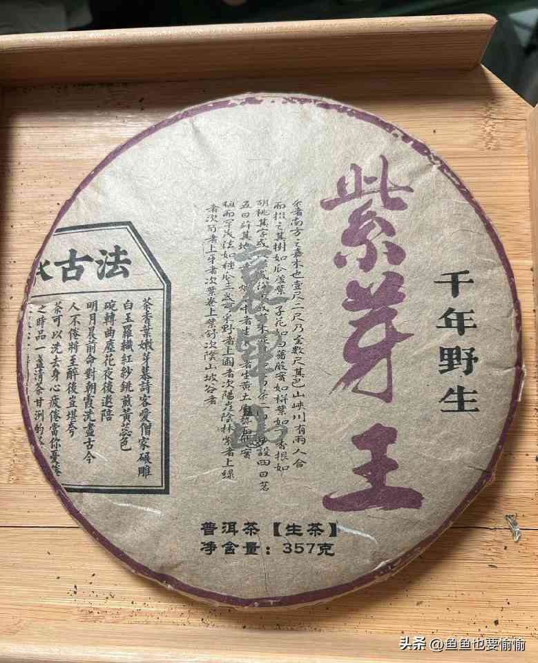 解析普洱茶品饮术语，从“说黑话”到“懂茶”的进阶指南