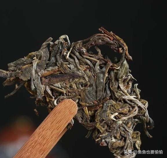 解析普洱茶品饮术语，从“说黑话”到“懂茶”的进阶指南