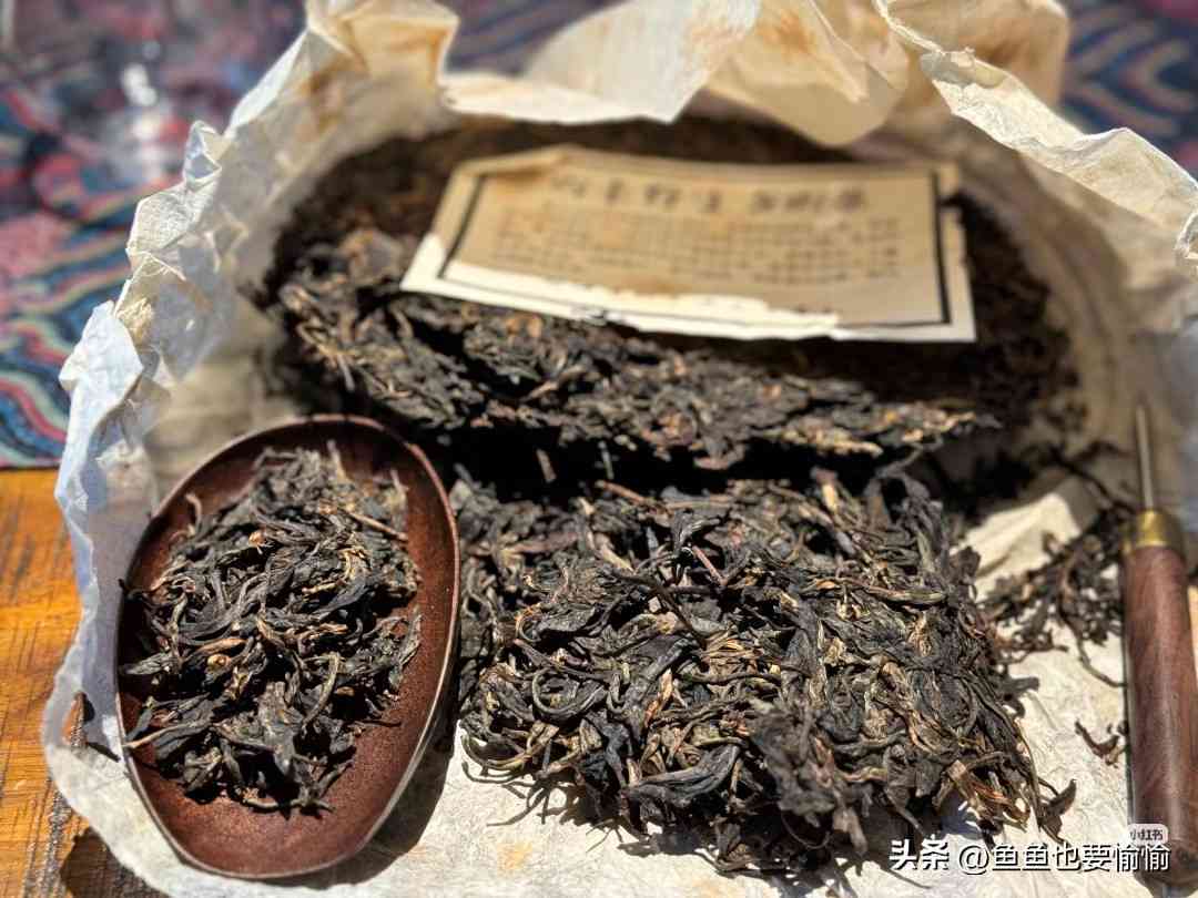 解析普洱茶品饮术语，从“说黑话”到“懂茶”的进阶指南