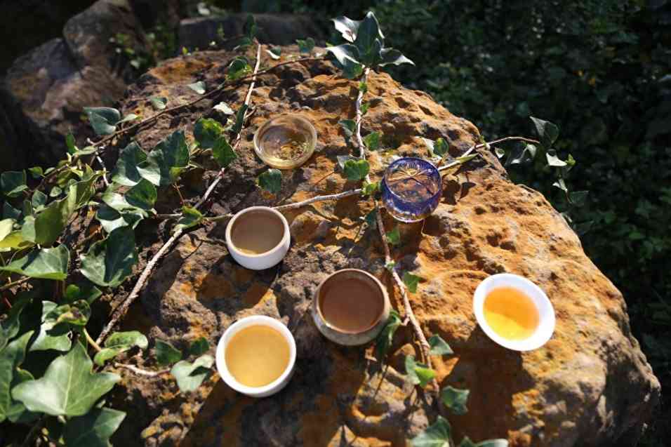 低等级逆袭为市场明星：8582老茶品质演变