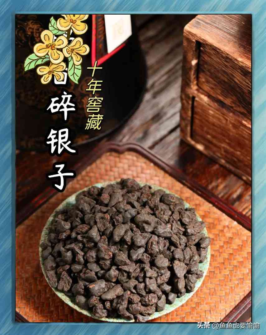 普洱茶原料分档指南：3句大实话教你避坑