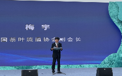 昌宁红茶高质量发展大会推动茶产业标准化与科技赋能 2025年重点产茶县域交流活动昌宁红茶高质量发展大会成功举办