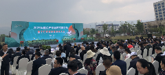 昌宁红茶高质量发展大会推动茶产业标准化与科技赋能 2025年重点产茶县域交流活动昌宁红茶高质量发展大会成功举办