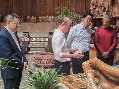 昌宁红茶高质量发展大会推动茶产业标准化与科技赋能 2025年重点产茶县域交流活动昌宁红茶高质量发展大会成功举办