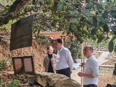 昌宁红茶高质量发展大会推动茶产业标准化与科技赋能 2025年重点产茶县域交流活动昌宁红茶高质量发展大会成功举办