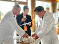 云南高黎贡山茶文化节推动生态与乡村振兴融合发展 联动千村万寨、保护生物多样性茶山、助力乡村振兴暨高黎贡山第十届茶文化节盛大开幕!