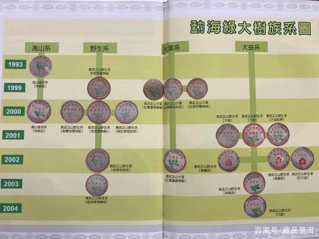 如何区分绿大树家族野生系与大叶系茶品？