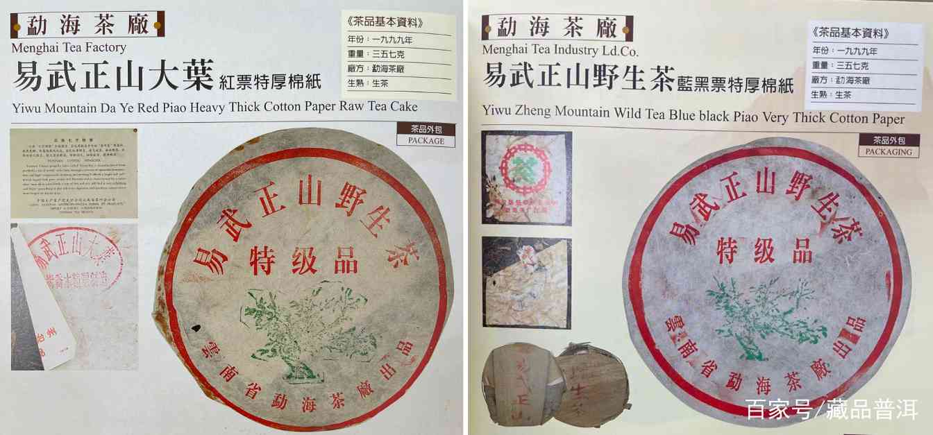 如何区分绿大树家族野生系与大叶系茶品？