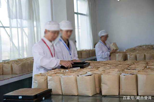 普洱茶越陈越香的5个冷知识，你知道几个？