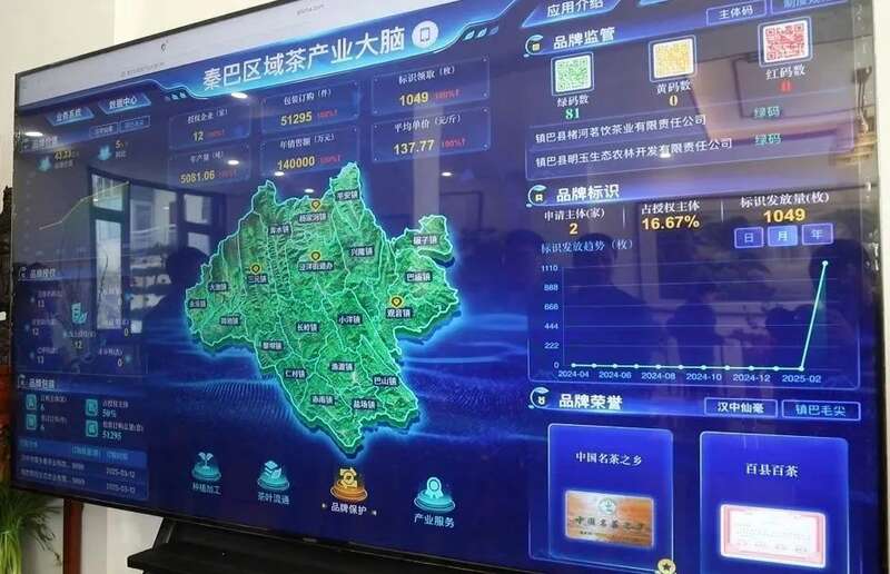 镇巴茶产业大脑打造数字化溯源新范式 一码溯源,镇巴茶有了“数字身份证”