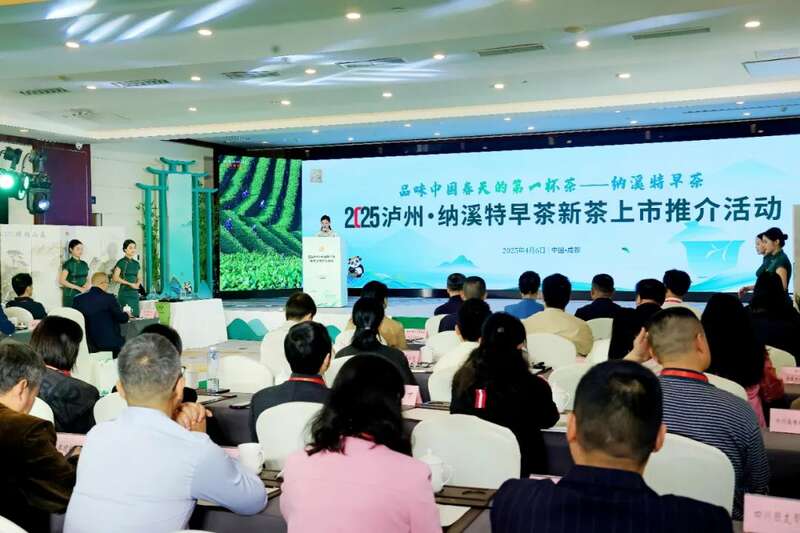 2025早春茶产业盛典震撼蓉城 纳溪特早茶开启品牌价值新高度 全国客商云集成都,共品中国春天的第一杯茶:纳溪特早茶