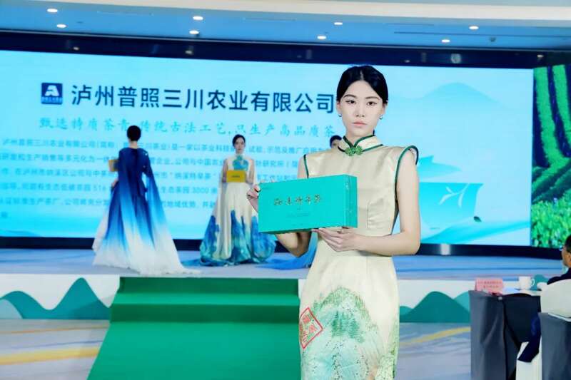 2025早春茶产业盛典震撼蓉城 纳溪特早茶开启品牌价值新高度 全国客商云集成都,共品中国春天的第一杯茶:纳溪特早茶