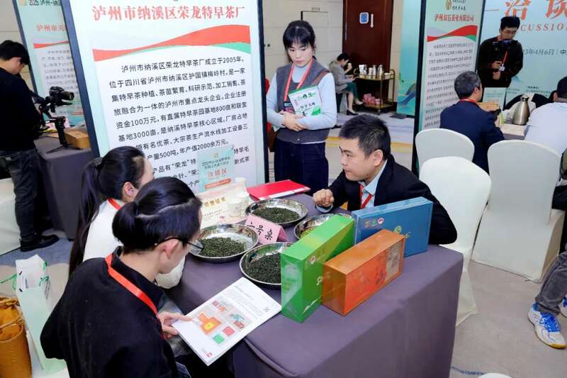 2025早春茶产业盛典震撼蓉城 纳溪特早茶开启品牌价值新高度 全国客商云集成都,共品中国春天的第一杯茶:纳溪特早茶