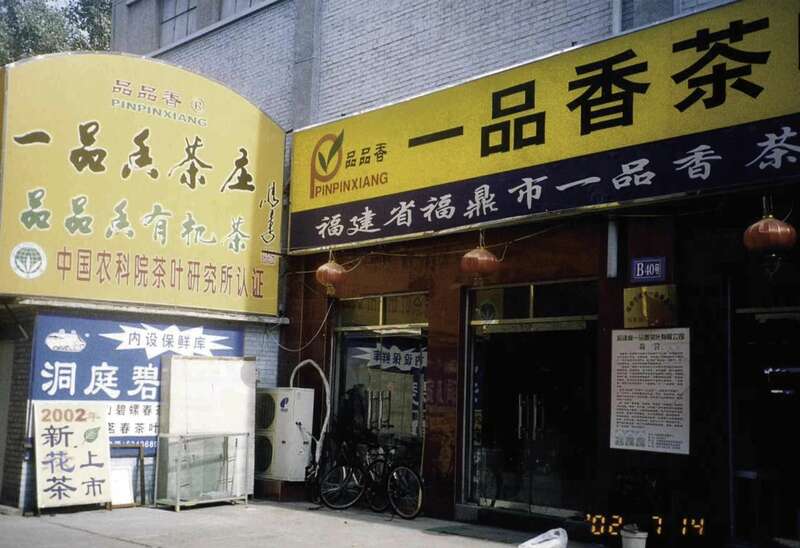 非遗白茶传承:创新驱动茶产业高质量跃迁 活态非遗传承!解锁福鼎白茶品牌化发展新路径!