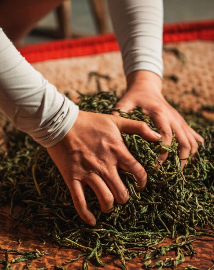 红茶工艺解析:晒红能否立即饮用 晒红为何一出道就是“适饮期”?