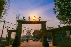 2025怒江国际论坛 张亚峰做专题发言：以茶文旅融合赋能边疆乡村可持续发展