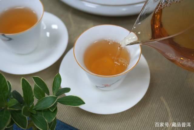 普洱茶口粮茶选购指南：性价比与品质平衡之道