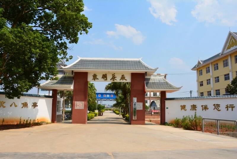 八角亭云南勐海早春乔木圆茶 经典再现,传奇新生! 八角亭云南勐海早春乔木圆茶 经典再现,传奇新生!