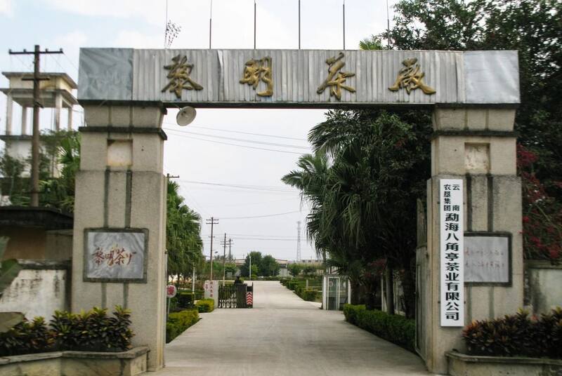 八角亭云南勐海早春乔木圆茶 经典再现,传奇新生! 八角亭云南勐海早春乔木圆茶 经典再现,传奇新生!