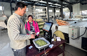 秦巴区域茶产业大脑 助力茶产业数字化转型