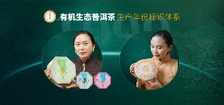 六大茶山 世界·贺开启动 普洱茶走向世界
