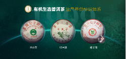 六大茶山 世界·贺开启动 普洱茶走向世界