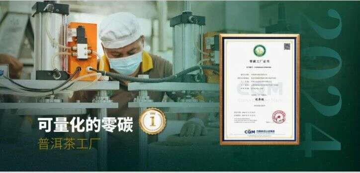 六大茶山 世界·贺开启动 普洱茶走向世界