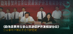 六大茶山 世界·贺开启动 普洱茶走向世界
