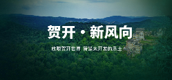六大茶山 世界·贺开启动 普洱茶走向世界