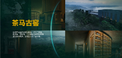 六大茶山 世界·贺开启动 普洱茶走向世界