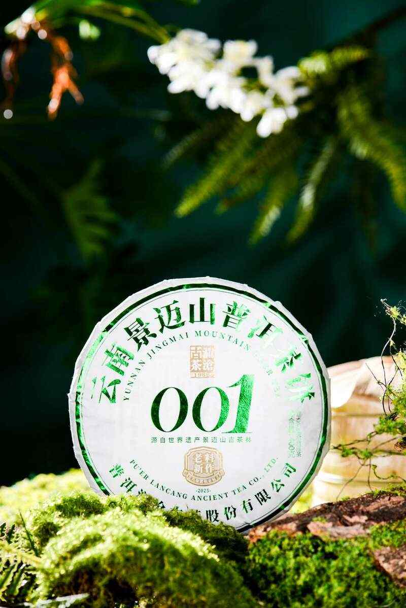 景迈山古茶林兰香蜜韵陈化轨迹解析 澜沧古茶景迈山的春天,该是001味的