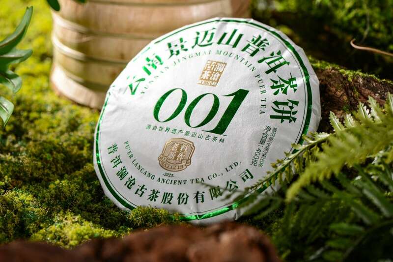 景迈山古茶林兰香蜜韵陈化轨迹解析 澜沧古茶景迈山的春天,该是001味的