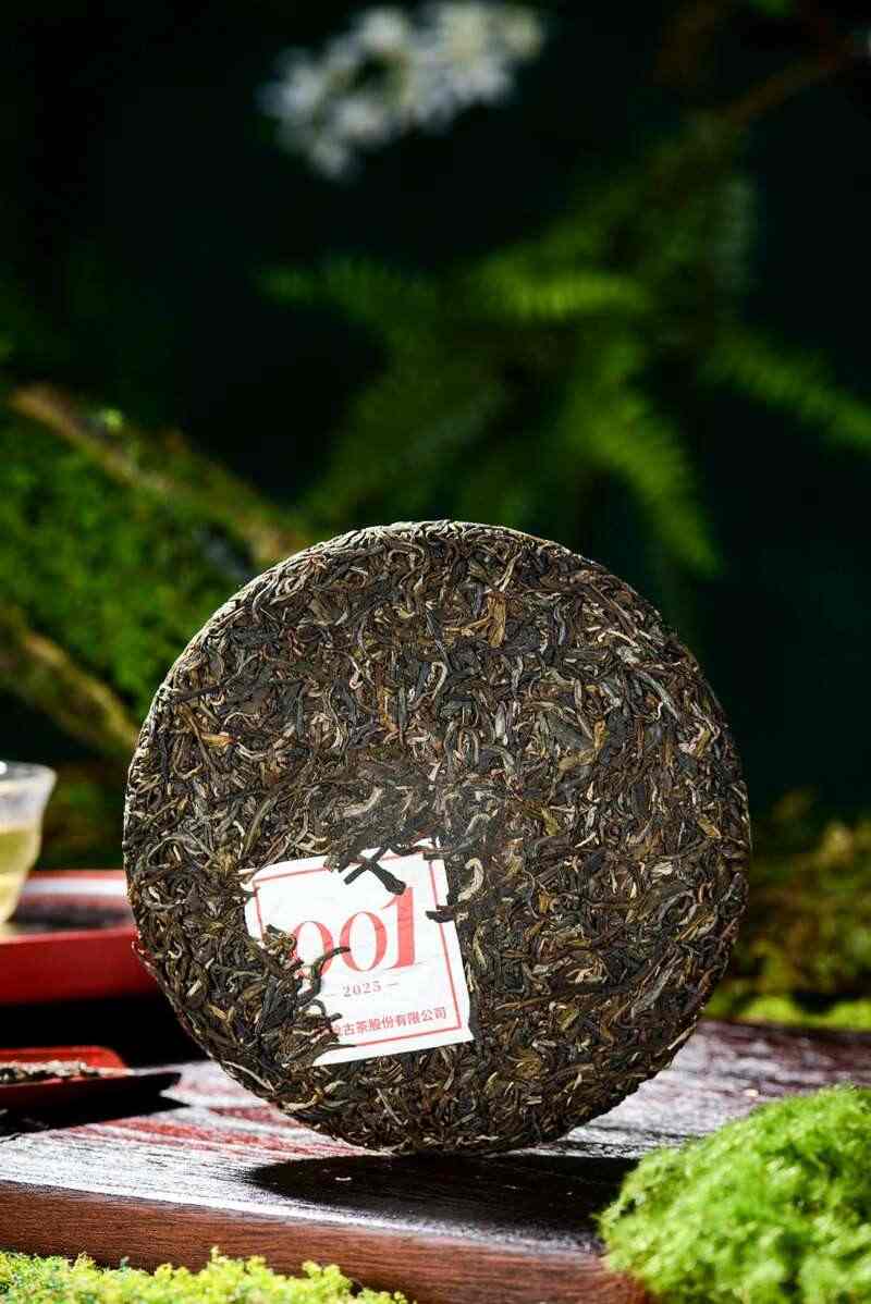 景迈山古茶林兰香蜜韵陈化轨迹解析 澜沧古茶景迈山的春天,该是001味的