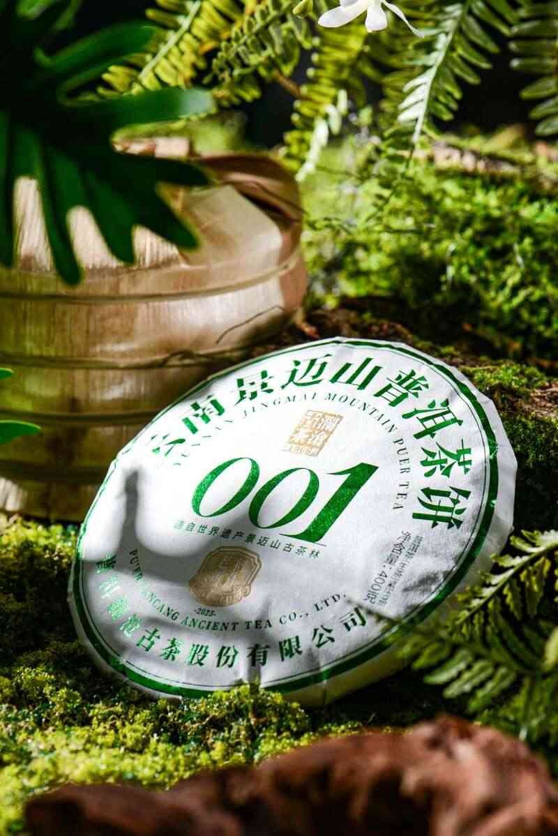 景迈山古茶林兰香蜜韵陈化轨迹解析 澜沧古茶景迈山的春天,该是001味的
