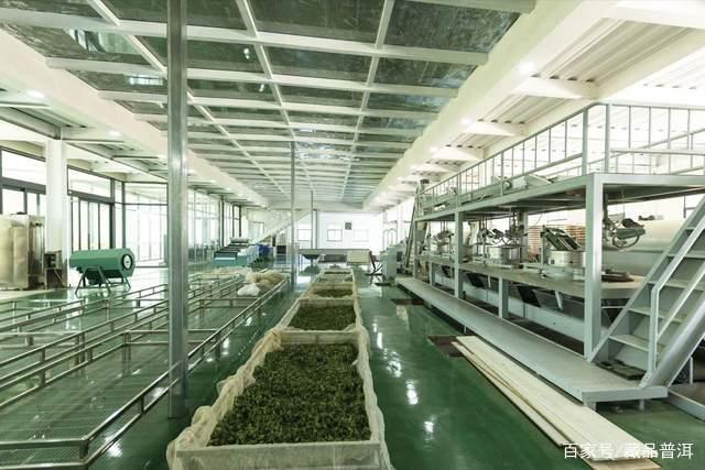 普洱茶品牌为何更受青睐？品质稳定与性价比优势解析
