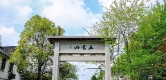 西湖龙井已开采！想要了解龙井茶，