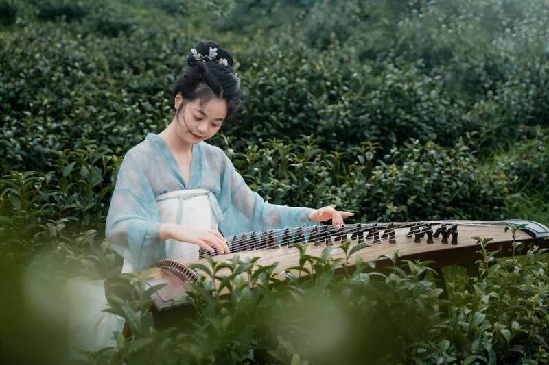 市女摄协:镜头下的茶香之旅 市女摄协:镜头下的茶香之旅